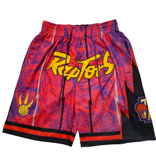 RAPTORS SHORTS 2023