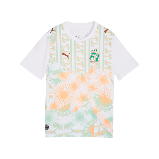 Ivory Coast Away World Cup Shirt 2026/27