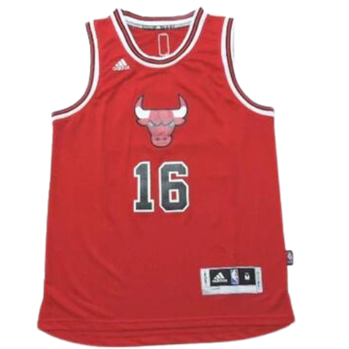 NBA VEST CHICAGO BULLS
