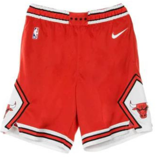NBA CHICAGO BULLS SHORTS 2021/22